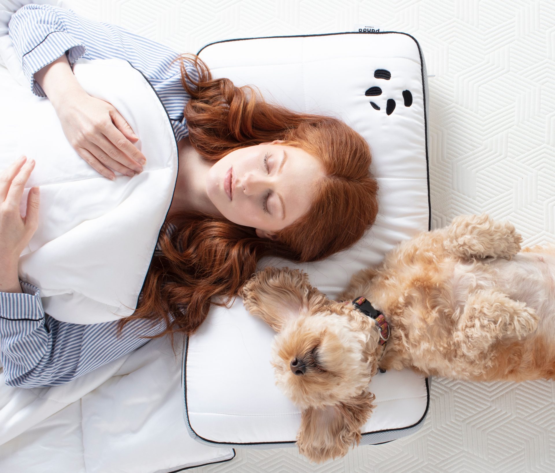Hybrid Memory Foam Bamboo Pillow BambooCloud Cover
