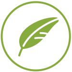 Eco friendly Bamboo Icon